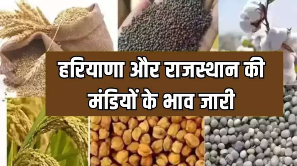 Mandi Bhav 16 September 2023: नरमा, कपास, सरसों और गेहूं समेत सभी फसलों के दाम जारी, देखिये हरियाणा और राजस्थान की मंडियों के भाव  