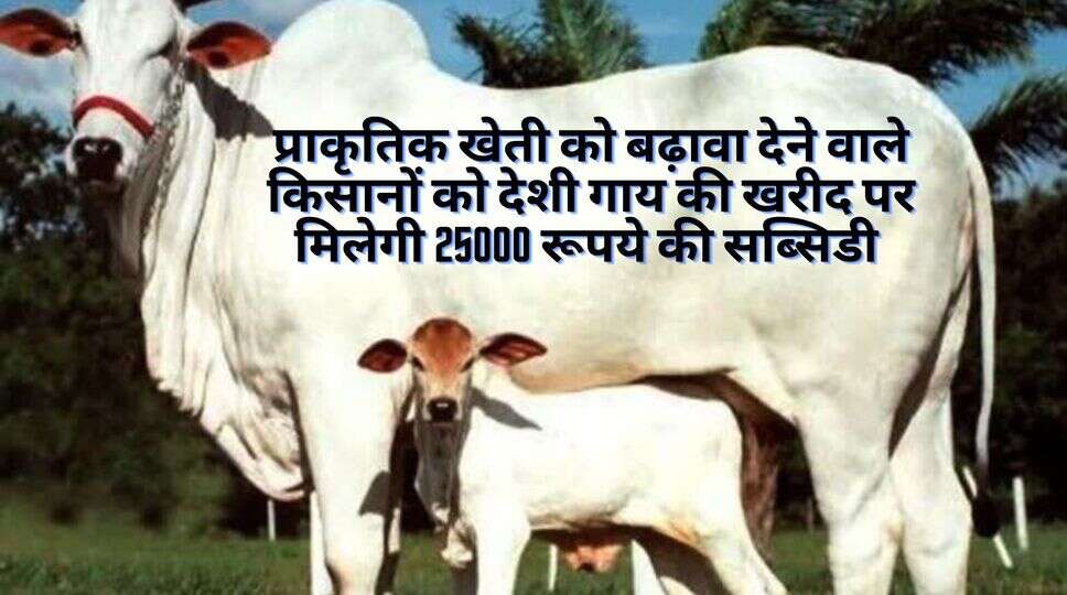 प्राकृतिक खेती
