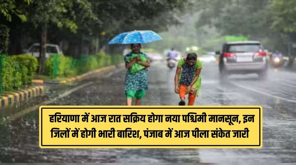 Haryana-Punjab Weather Today : हरियाणा में आज रात सक्रिय होगा नया पश्चिमी मानसून, इन जिलों में होगी भारी बारिश, पंजाब में आज पीला संकेत जारी 