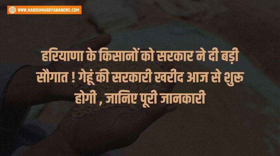 हरियाणा के किसानों को सरकार ने दी बड़ी सौगात ! गेहूं की सरकारी खरीद आज से शुरू होगी , जानिए पूरी जानकारी&nbsp;