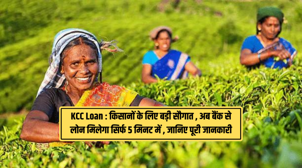 KCC Loan : किसानों के लिए बड़ी सौगात , अब बैंक से लोन मिलेगा सिर्फ 5 मिनट में , जानिए पूरी जानकारी 