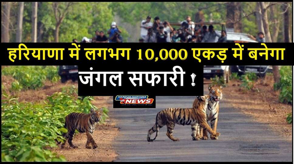 jungle safari in haryana 