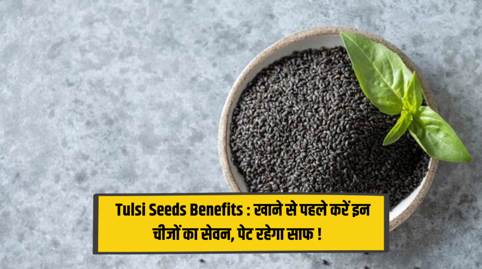  Tulsi Seeds Benefits : खाने से पहले करें इन चीजों का सेवन, पेट रहेगा साफ ! जानिए शरीर के ओर भी फायदे 