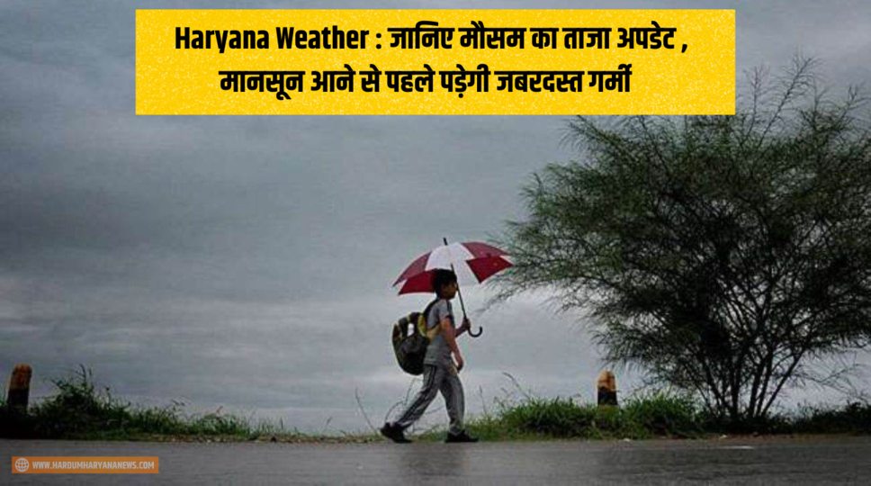 Haryana Weather : जानिए मौसम का ताजा अपडेट , मानसून आने से पहले पड़ेगी जबरदस्त गर्मी , जानिए पूरी जानकारी 