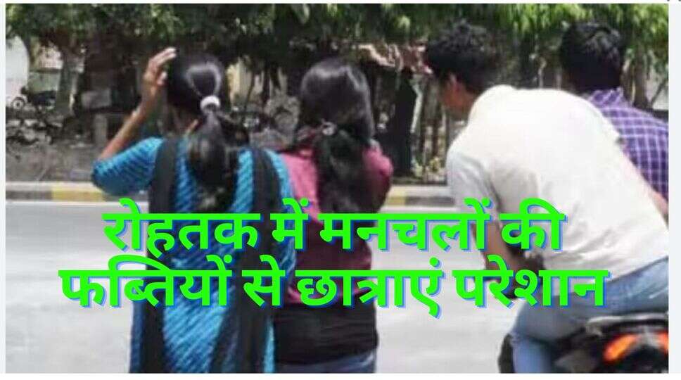 रोहतक 