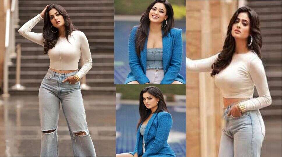 &nbsp; Shweta Tiwari