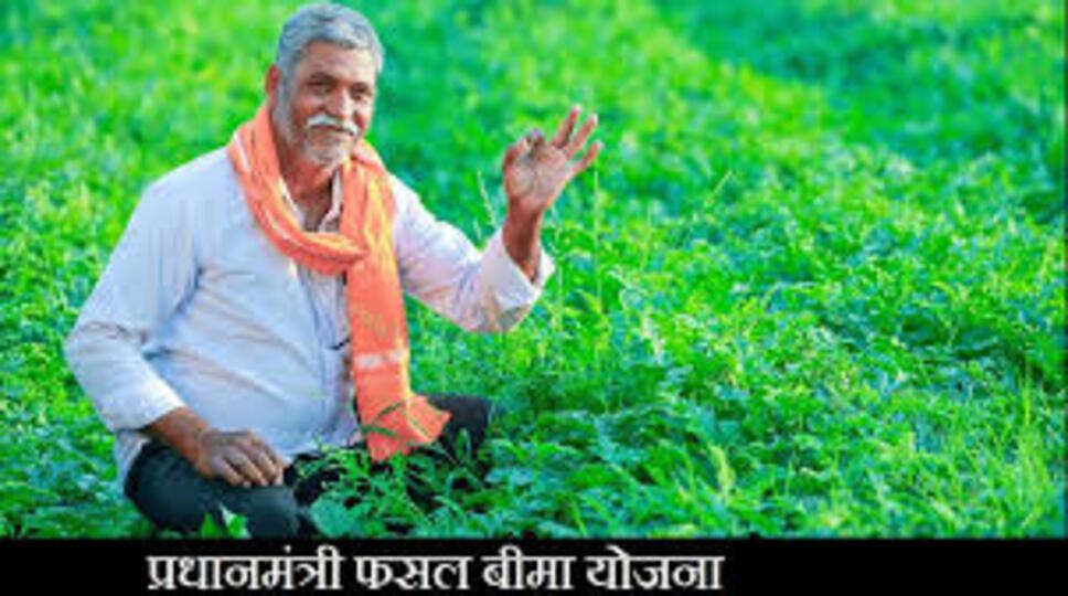 मुख्यमंत्री बागवानी बीमा योजना