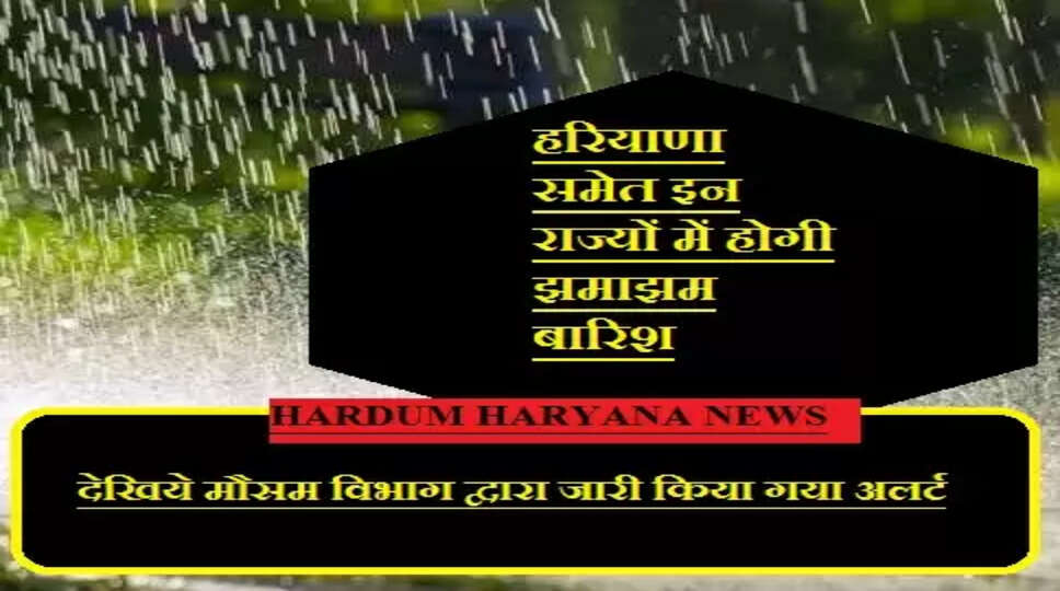 RAIN IN HARYANA 