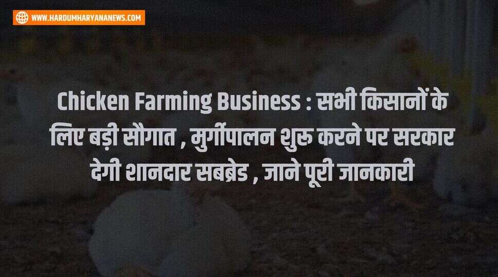 Chicken Farming Business : सभी किसानों के लिए बड़ी सौगात , मुर्गीपालन शुरू करने पर सरकार देगी शानदार सबब्रेड , जाने पूरी जानकारी&nbsp;