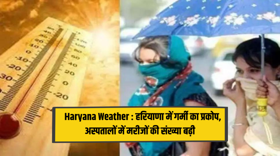  Haryana Weather : हरियाणा में गर्मी का प्रकोप, अस्पतालों में मरीजों की संख्या बढ़ी , जानिए पूरी जानकारी 