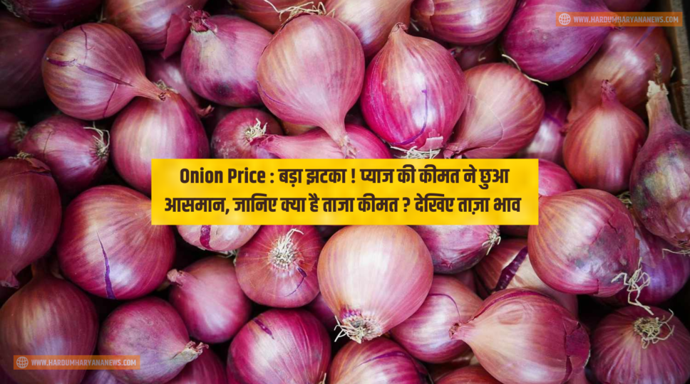 Onion Price : बड़ा झटका ! प्याज की कीमत ने छुआ आसमान, जानिए क्या है ताजा कीमत ? देखिए ताज़ा भाव 