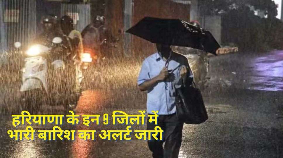 Haryana Rain 