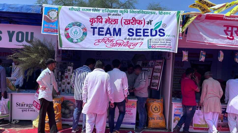 कृषि मेले में हजारों किसानों ने सीखे बीजोपचार के गुण टीम सीड्स कंपनी ने लगाया कृषि मेला, ड्रोन के महत्व बारे भी दी उपयोगी जानकारी