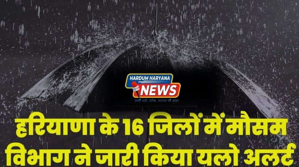 Haryana Weather: हरियाणा के 16 जिलों में मौसम विभाग ने जारी किया यलो अलर्ट, जानें कल कैसा रहेगा प्रदेश में मौसम का हाल