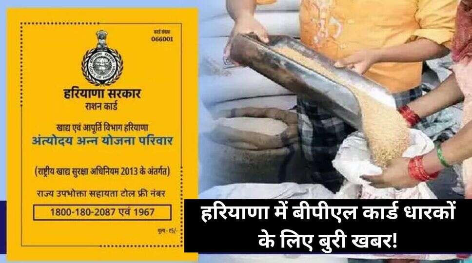 हरियाणा में बीपीएल 