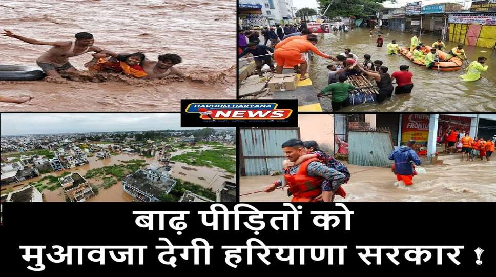 flood affected people in Haryana