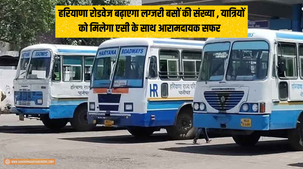 हरियाणा रोडवेज बढ़ाएगा लग्जरी बसों की संख्या , यात्रियों को मिलेगा एसी के साथ आरामदायक सफर , जानिए पूरी खबर 