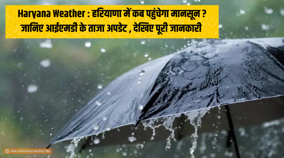 Haryana Weather : हरियाणा में कब पहुंचेगा मानसून ? जानिए आईएमडी के ताजा अपडेट , देखिए पूरी जानकारी 