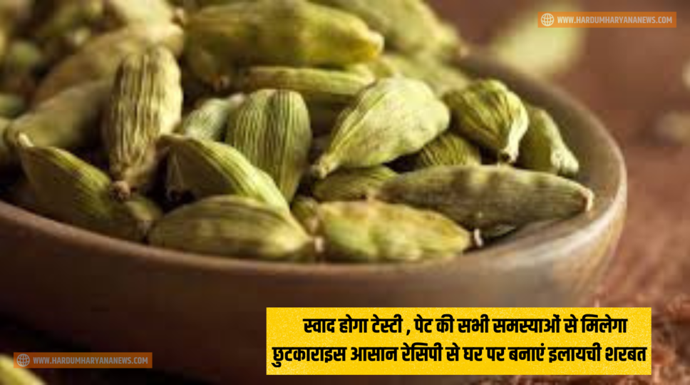 Elaichi Sharbat Recipe : स्वाद होगा टेस्टी , पेट की सभी समस्याओं से मिलेगा छुटकाराइस आसान रेसिपी से घर पर बनाएं इलायची शरबत&nbsp;