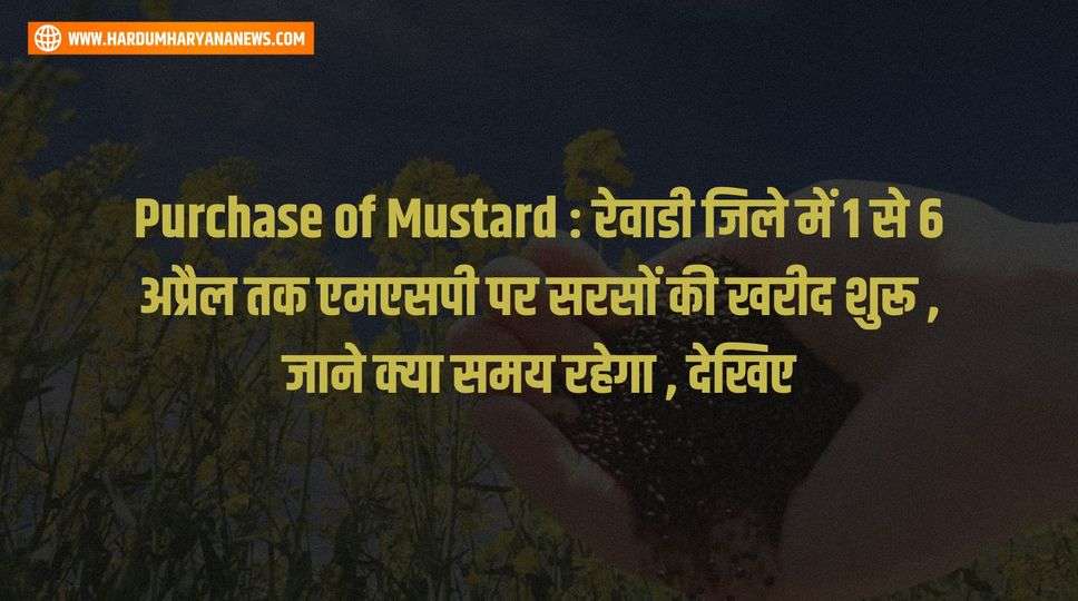 Purchase of Mustard : रेवाडी जिले में 1 से 6 अप्रैल तक एमएसपी पर सरसों की खरीद शुरू , जाने क्या समय रहेगा , देखिए 