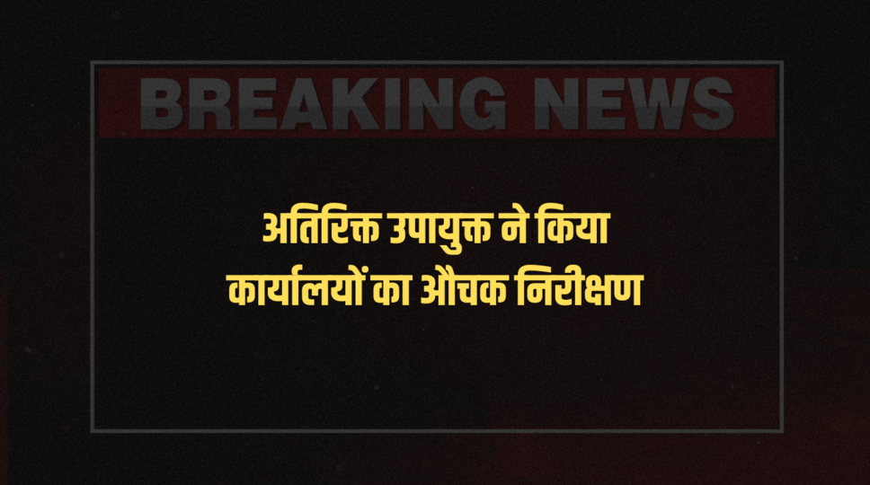 अतिरिक्त उपायुक्त ने किया कार्यालयों का औचक निरीक्षण