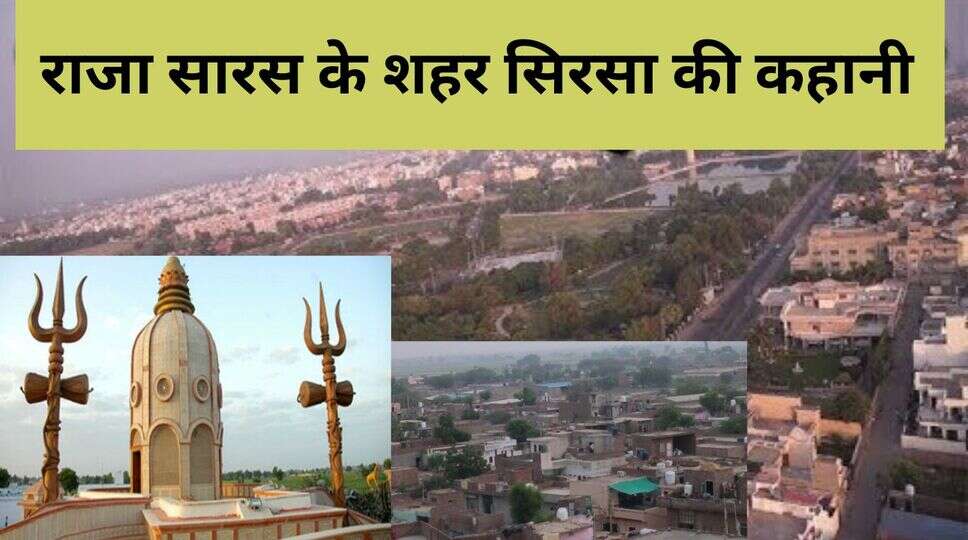 राजा सारस