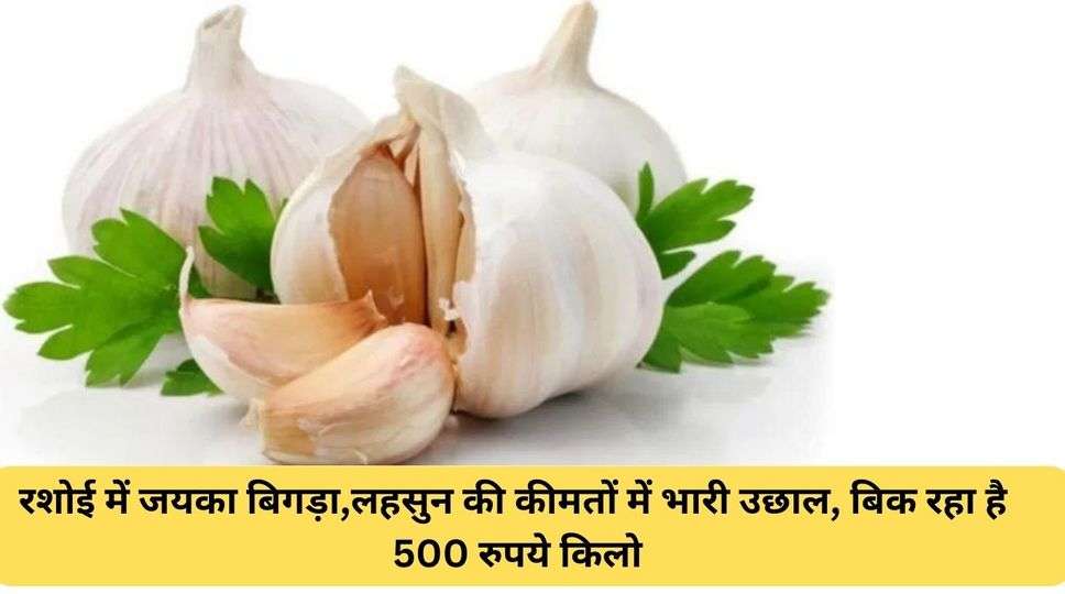 prices of garlic