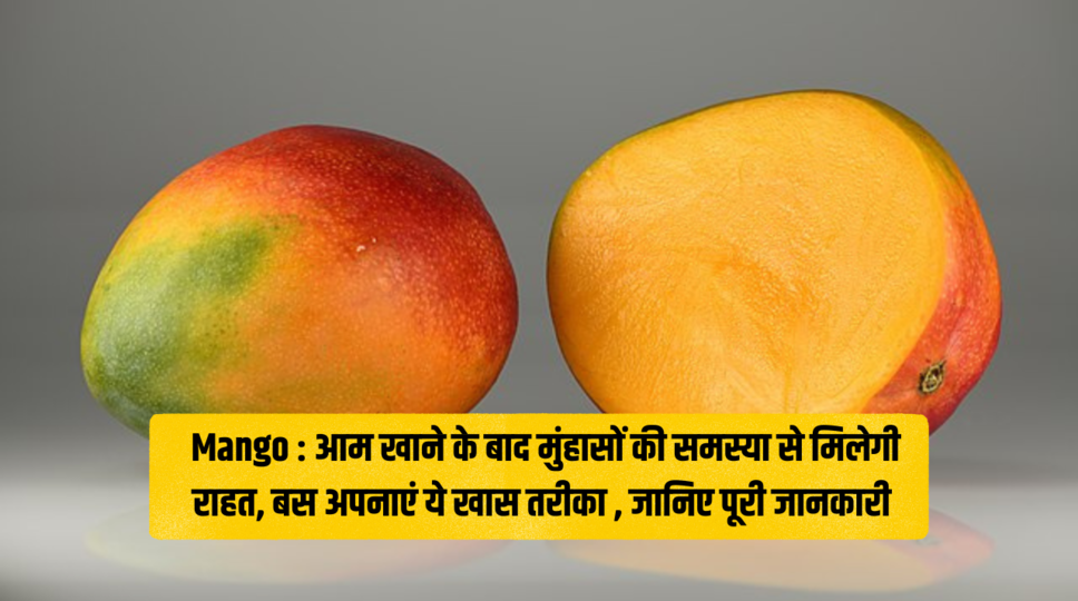 Mango : आम खाने के बाद मुंहासों की समस्या से मिलेगी राहत, बस अपनाएं ये खास तरीका , जानिए पूरी जानकारी 