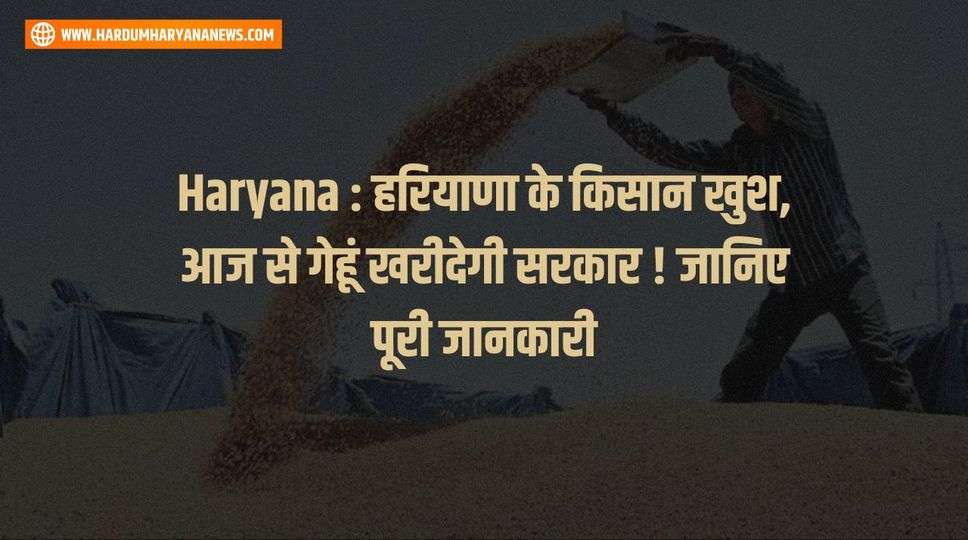 Haryana : हरियाणा के किसान खुश, आज से गेहूं खरीदेगी सरकार ! जानिए पूरी जानकारी 