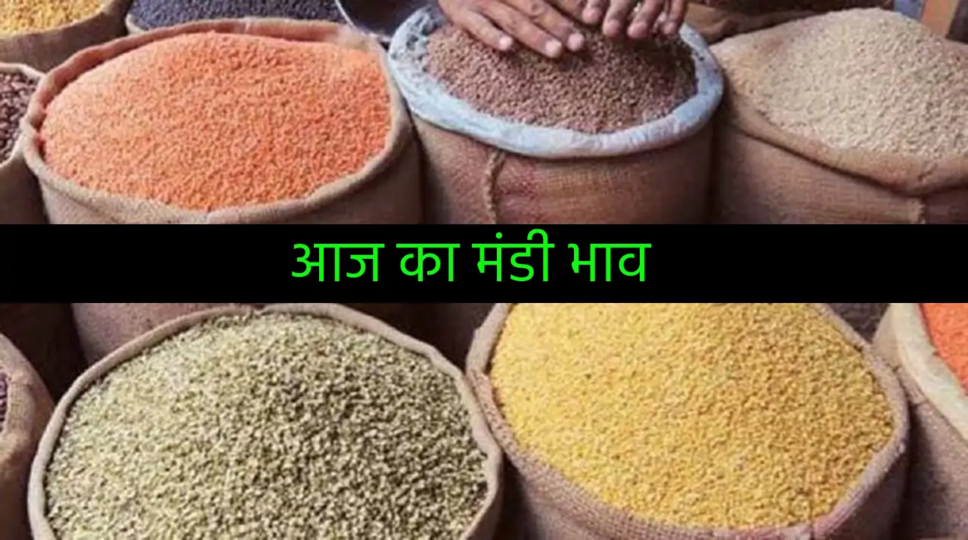 Mandi Bhav : सातवें आसमान पर पहुंचे टमाटर के दाम, घर बैठे चेक करें सब्जी मंडी का ताजा भाव