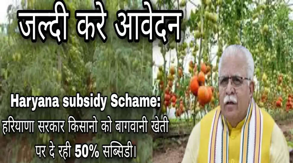 Haryana subsidy Schame: हरियाणा सरकार किसानो को बागवानी खेती पर दे रही 50% सब्सिडी। 