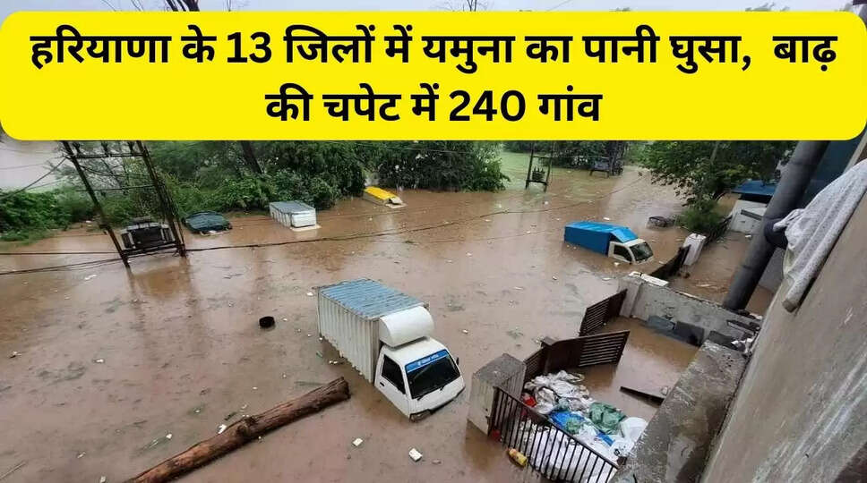 हरियाणा के 13 जिलों में यमुना का पानी घुसा,&nbsp; बाढ़ की चपेट में 240 गांव