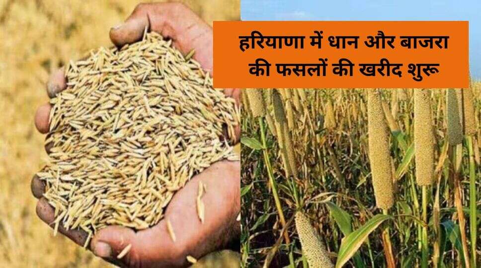 हरियाणा 