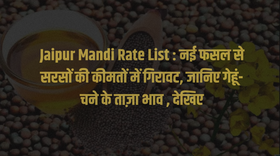 Jaipur Mandi Rate List : नई फसल से सरसों की कीमतों में गिरावट, जानिए गेहूं-चने के ताज़ा भाव , देखिए&nbsp;