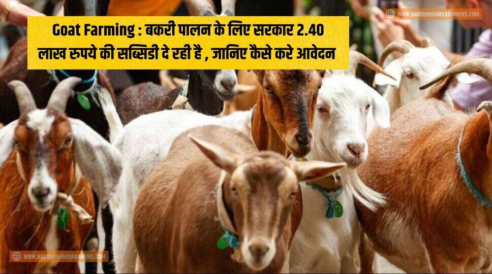 Goat Farming : बकरी पालन के लिए सरकार 2.40 लाख रुपये की सब्सिडी दे रही है , जानिए कैसे करे आवेदन&nbsp;