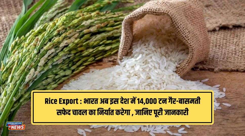 Rice Export : भारत अब इस देश में 14,000 टन गैर-बासमती सफेद चावल का निर्यात करेगा , जानिए पूरी जानकारी 