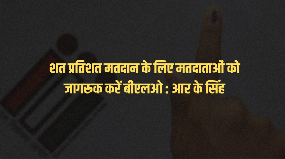 शत प्रतिशत मतदान के लिए मतदाताओं को जागरूक करें बीएलओ : आर के सिंह
