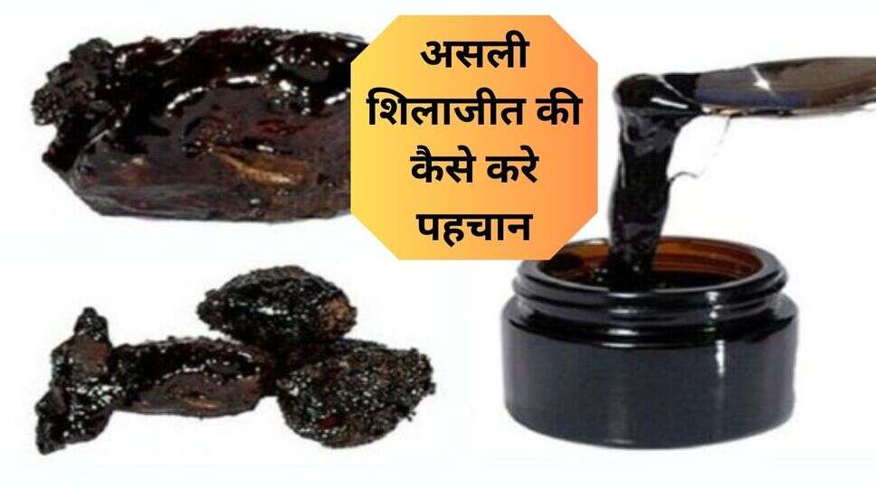 Real Shilajit