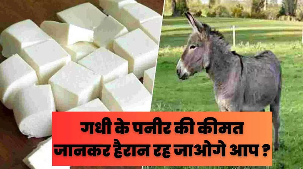 िुवुपवु