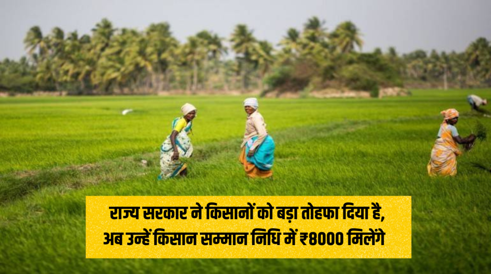 Kisan Samman Nidhi : राज्य सरकार ने किसानों को बड़ा तोहफा दिया है, अब उन्हें किसान सम्मान निधि में ₹8000 मिलेंगे , जानिए कैसे करे आवेदन&nbsp;