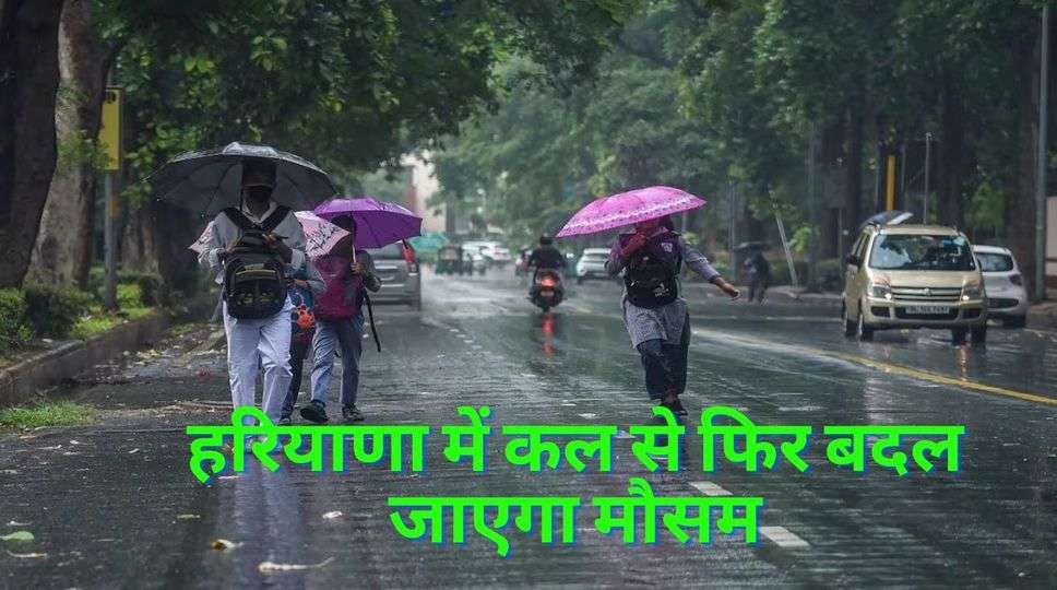 Haryana Weather