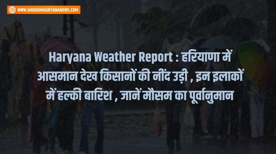 Haryana Weather Report : हरियाणा में आसमान देख किसानों की नींद उड़ी , इन इलाकों में हल्की बारिश , जानें मौसम का पूर्वानुमान