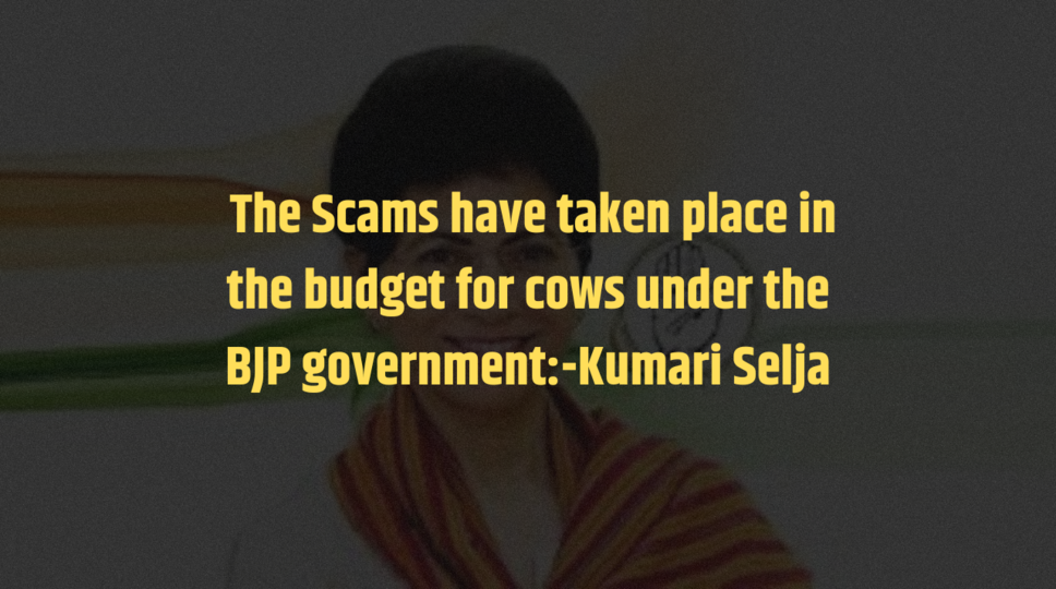 &nbsp;The Scams have taken place in the budget for cows under the BJP government:-Kumari Selja