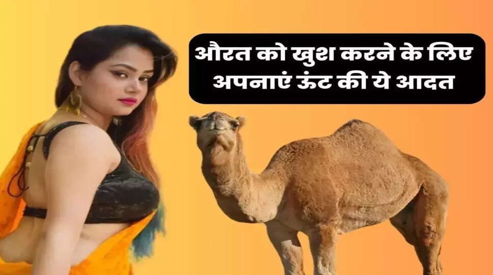 Chanakya Niti: औरत को खुश करने के लिए अपनाएं ऊंट की ये आदत, पहली बार में मिलेगा फुल रिजल्ट