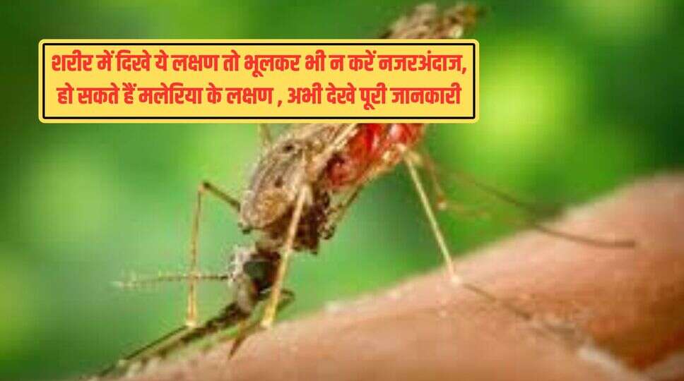 शरीर में दिखे ये लक्षण तो भूलकर भी न करें नजरअंदाज, हो सकते हैं मलेरिया के लक्षण , अभी देखे पूरी जानकारी&nbsp;