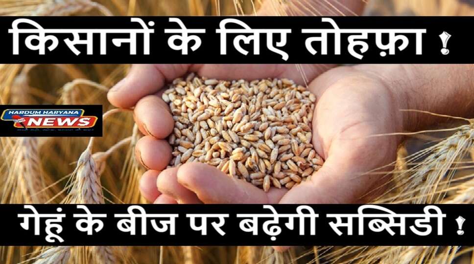 WHEAT SEED SUBSIDY