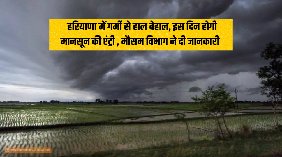 Haryana Weather : हरियाणा में गर्मी से हाल बेहाल, इस दिन होगी मानसून की एंट्री , मौसम विभाग ने दी जानकारी 