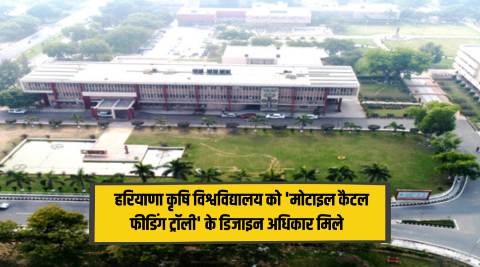 Chaudhary Charan Singh Haryana Agricultural University : हरियाणा कृषि विश्वविद्यालय को 'मोटाइल कैटल फीडिंग ट्रॉली' के डिजाइन अधिकार मिले , जानिए पूरी जानकारी 