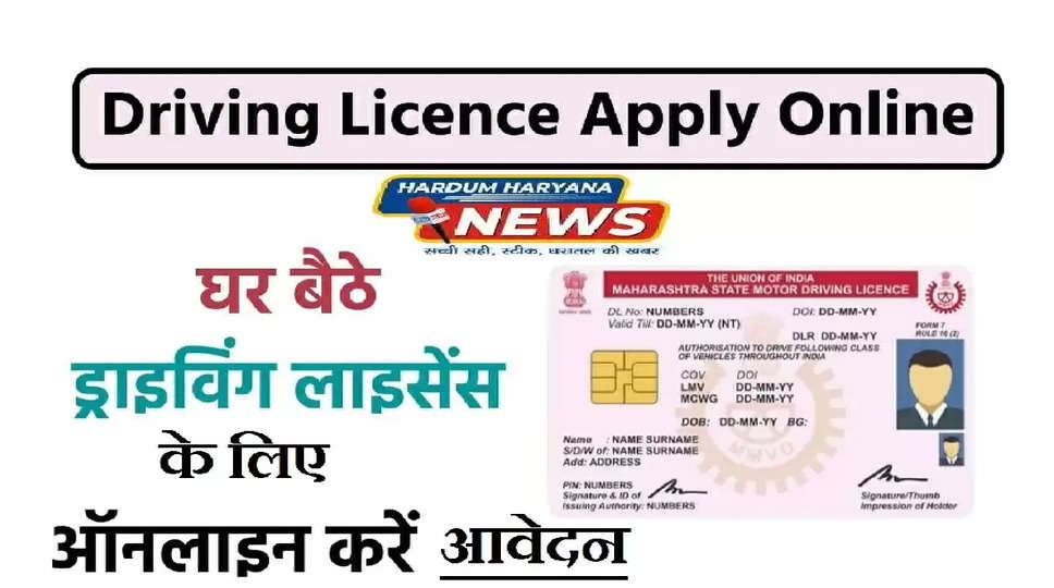 DRIVING LICENSE