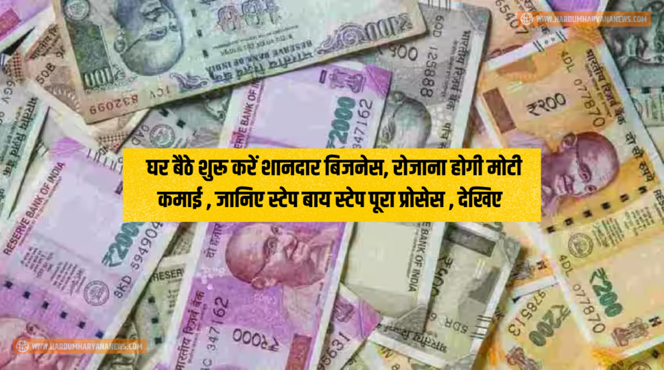 Business Idea : घर बैठे शुरू करें शानदार बिजनेस, रोजाना होगी मोटी कमाई , जानिए स्टेप बाय स्टेप पूरा प्रोसेस , देखिए&nbsp;